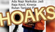 berita-pilihan-foto